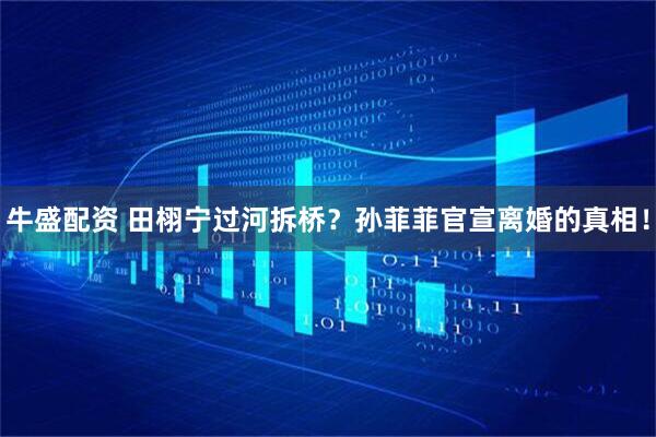 牛盛配资 田栩宁过河拆桥？孙菲菲官宣离婚的真相！