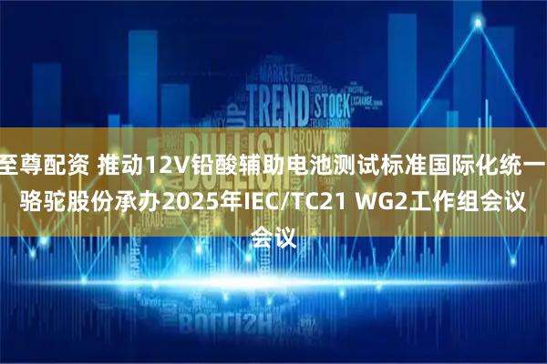 至尊配资 推动12V铅酸辅助电池测试标准国际化统一 骆驼股份承办2025年IEC/TC21 WG2工作组会议